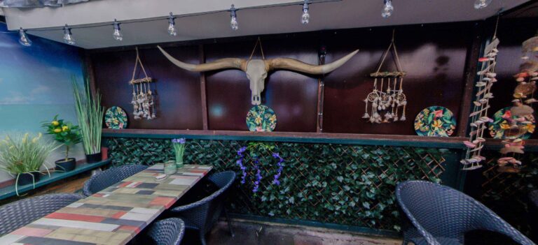 el mundo patio